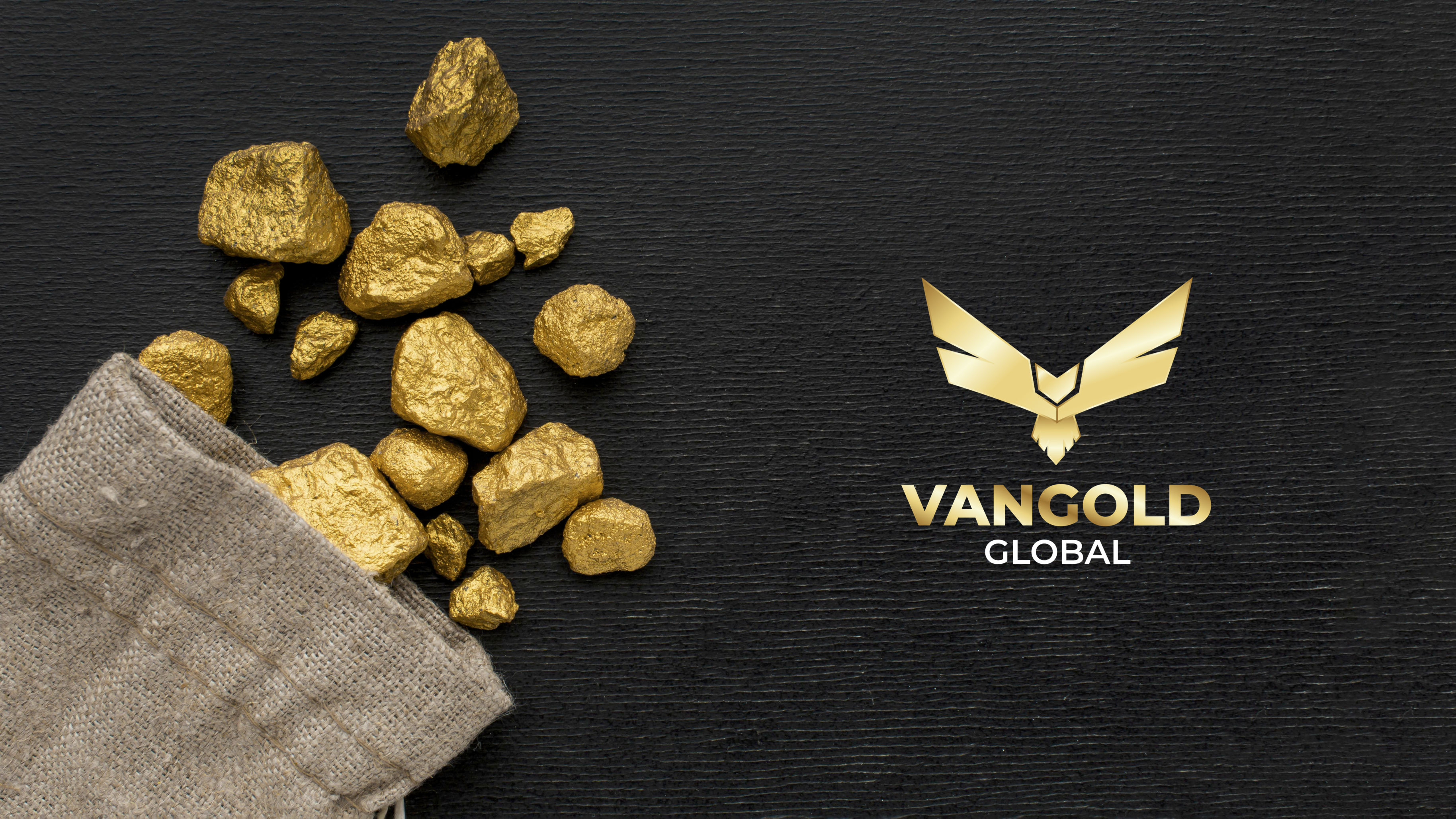 量化全球基金- VanGold 金峰领航黄金基金